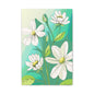 Matte Canvas, Stretched, 1.25" White Flowers