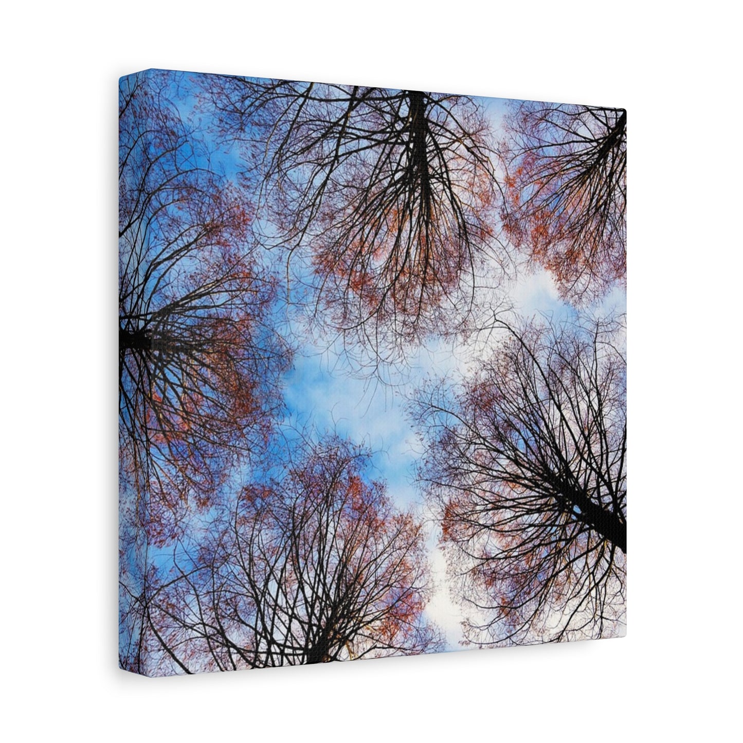 Winter Tree Canopy Matte Canvas Wall Art — Stretched 1.25"