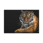 Majestic Tiger Canvas Art, Perfect for Animal Lovers, Home Decor, Gift for Wildlife Enthusiasts, Modern Wall Art, 1.25" Depth