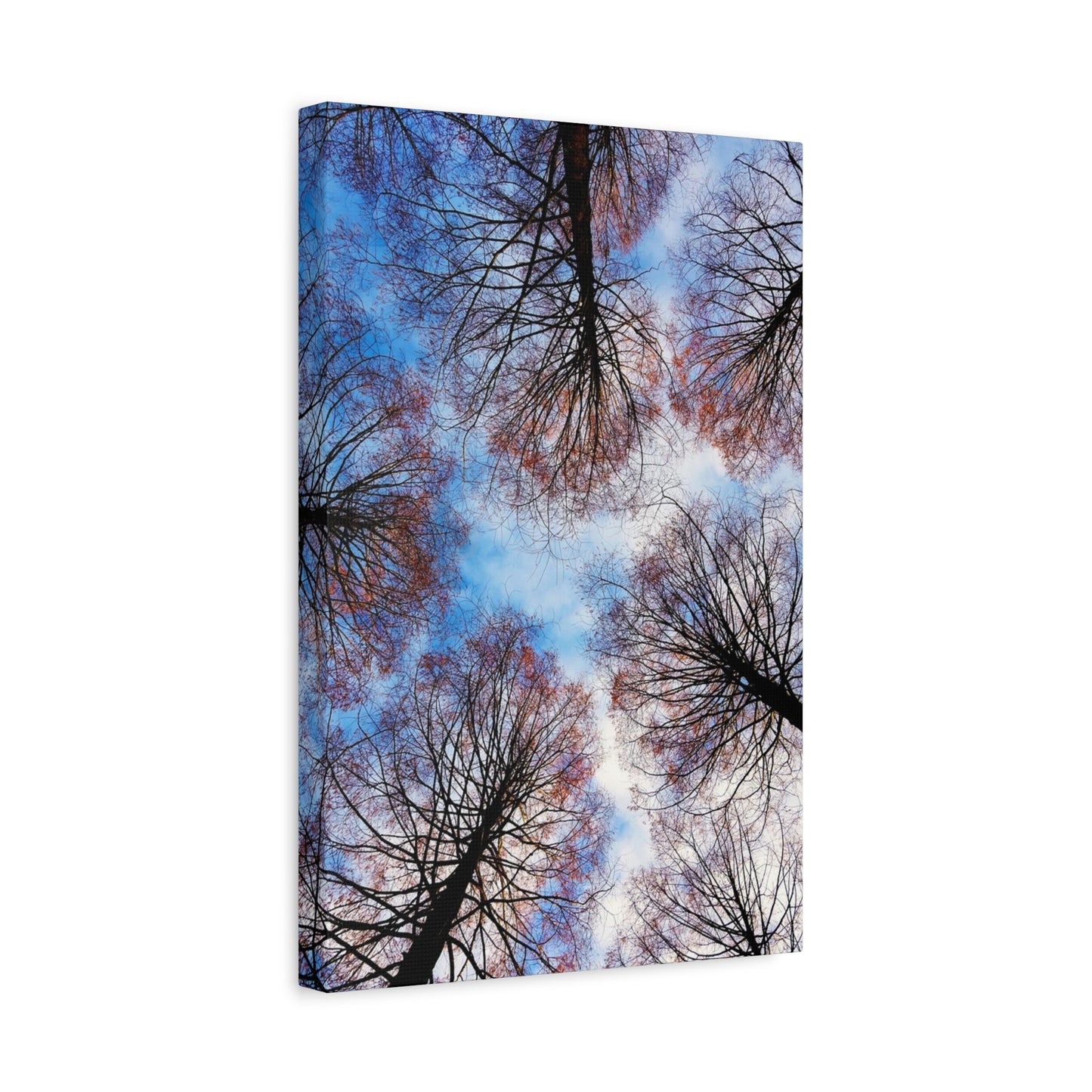 Winter Tree Canopy Matte Canvas Wall Art — Stretched 1.25"