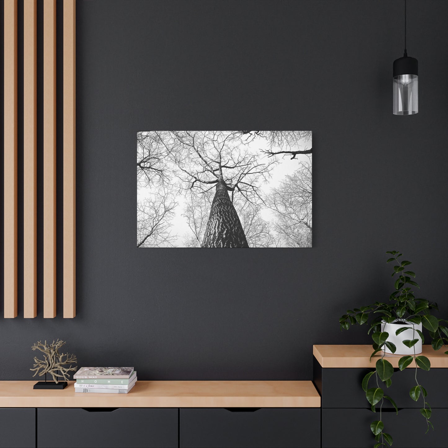 Black & White Tree Canopy Matte Canvas Wall Art — Upward Forest Photography