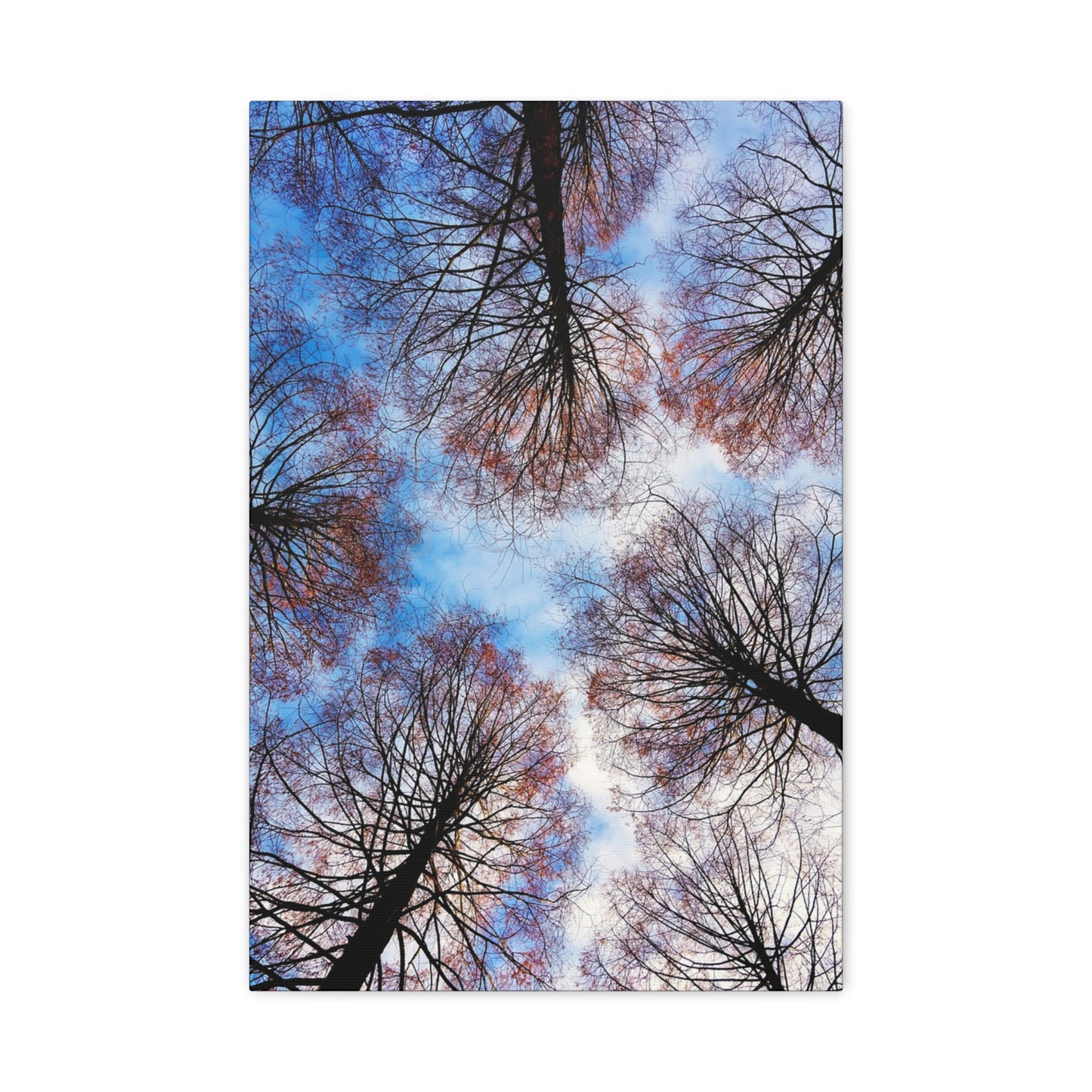 Winter Tree Canopy Matte Canvas Wall Art — Stretched 1.25"
