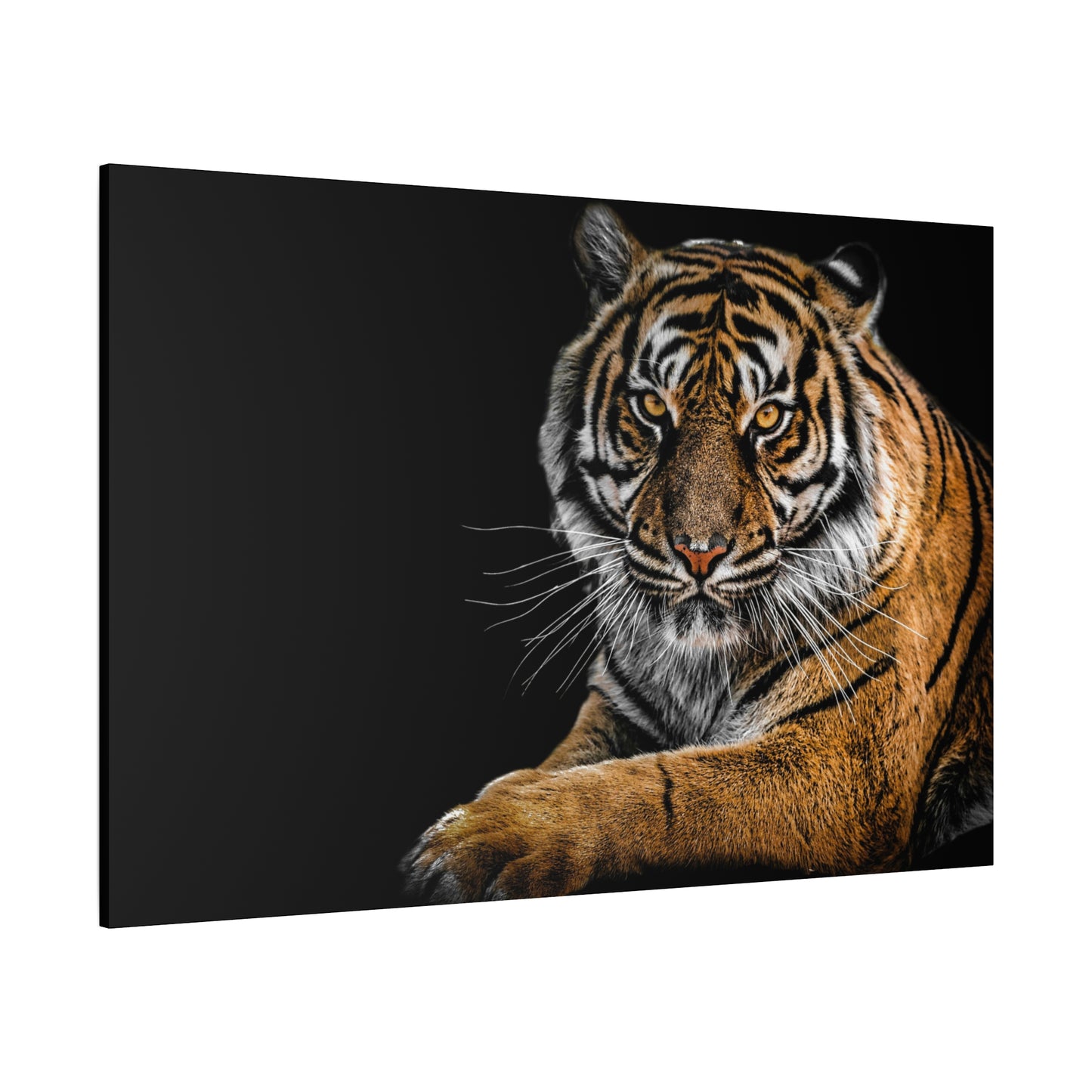 Majestic Tiger Canvas Art, Perfect for Animal Lovers, Home Decor, Gift for Wildlife Enthusiasts, Modern Wall Art, 1.25" Depth