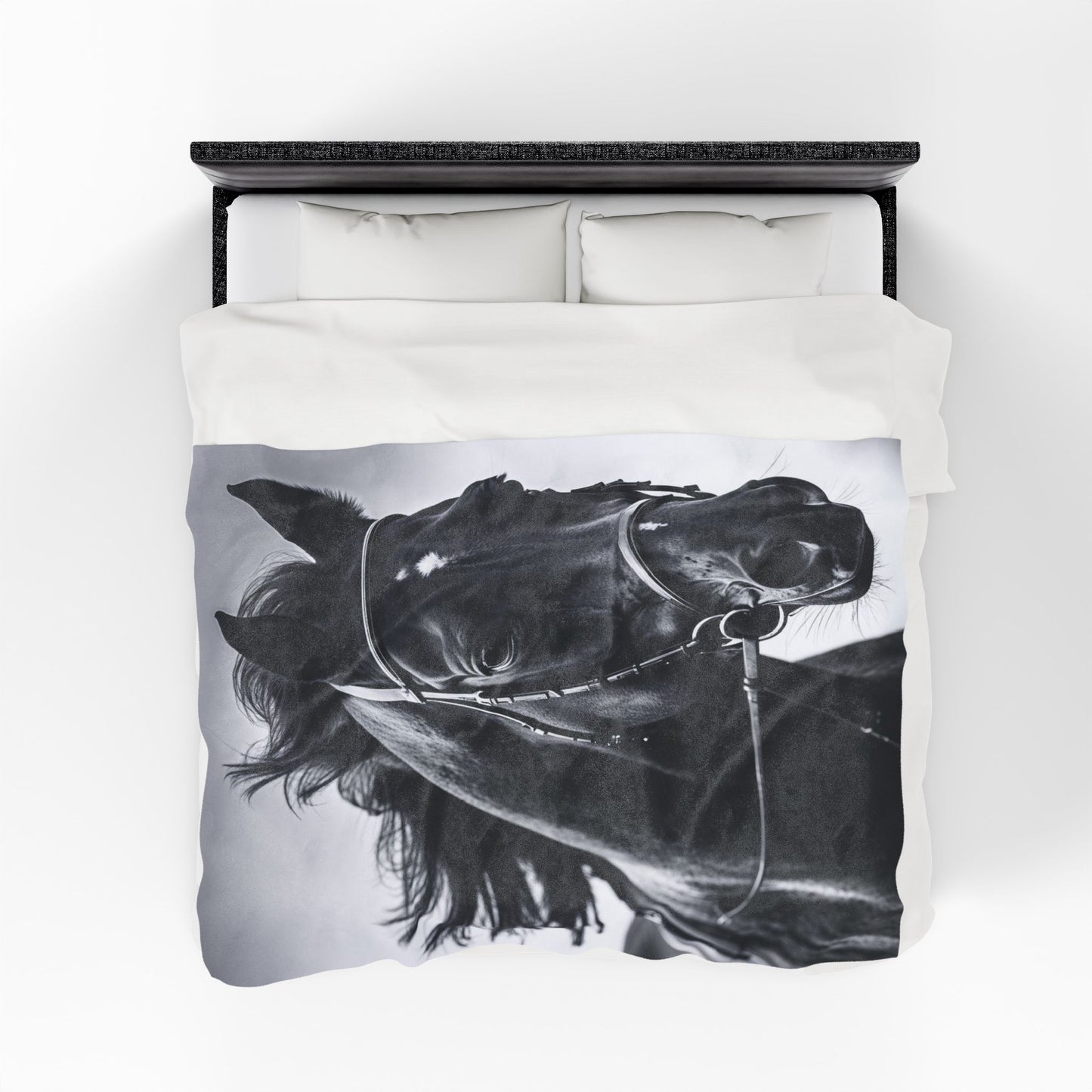 Black Stallion Velveteen Plush Blanket – Photoreal Horse Throw for Equestrian Fans