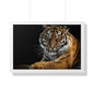 Majestic Tiger Wall Art Print, Framed Horizontal Poster, Animal Decor, Home Office Decoration, Wildlife Art, Gift Idea