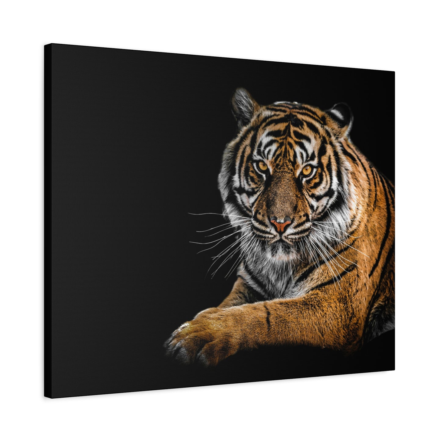 Majestic Tiger Canvas Art, Perfect for Animal Lovers, Home Decor, Gift for Wildlife Enthusiasts, Modern Wall Art, 1.25" Depth
