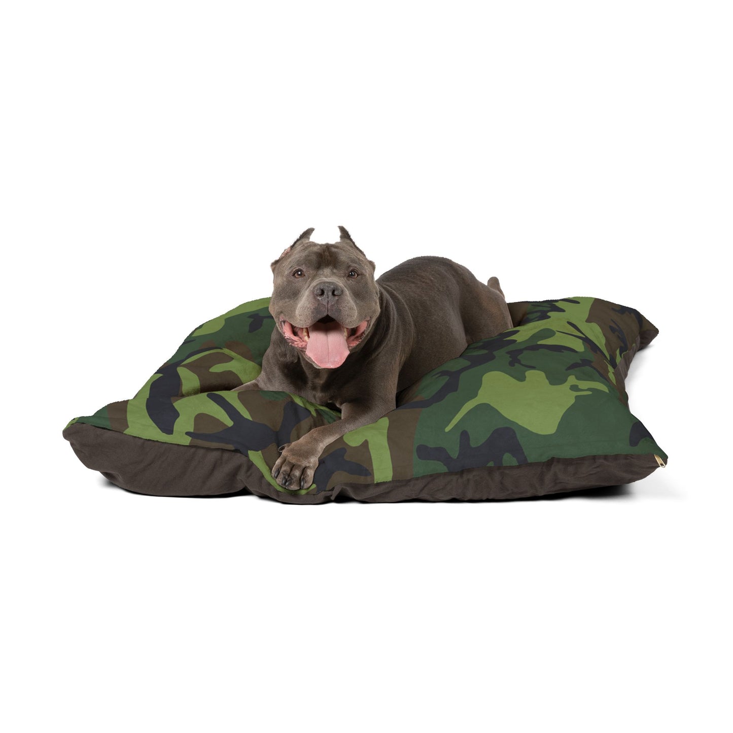 Pet Bed