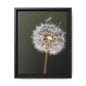 Framed Dandelion Canvas Print — Matte Botanical Wall Art