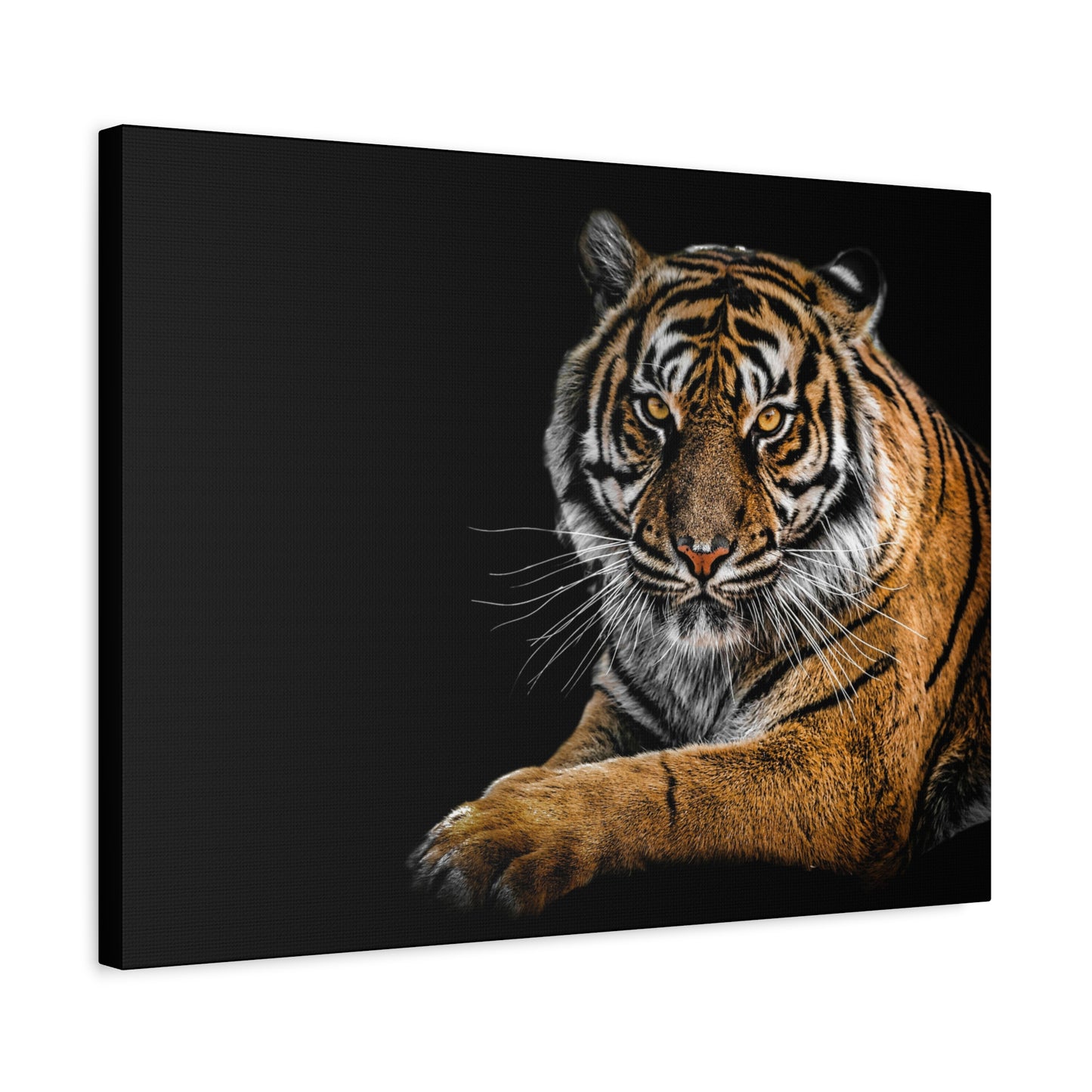 Majestic Tiger Canvas Art, Perfect for Animal Lovers, Home Decor, Gift for Wildlife Enthusiasts, Modern Wall Art, 1.25" Depth
