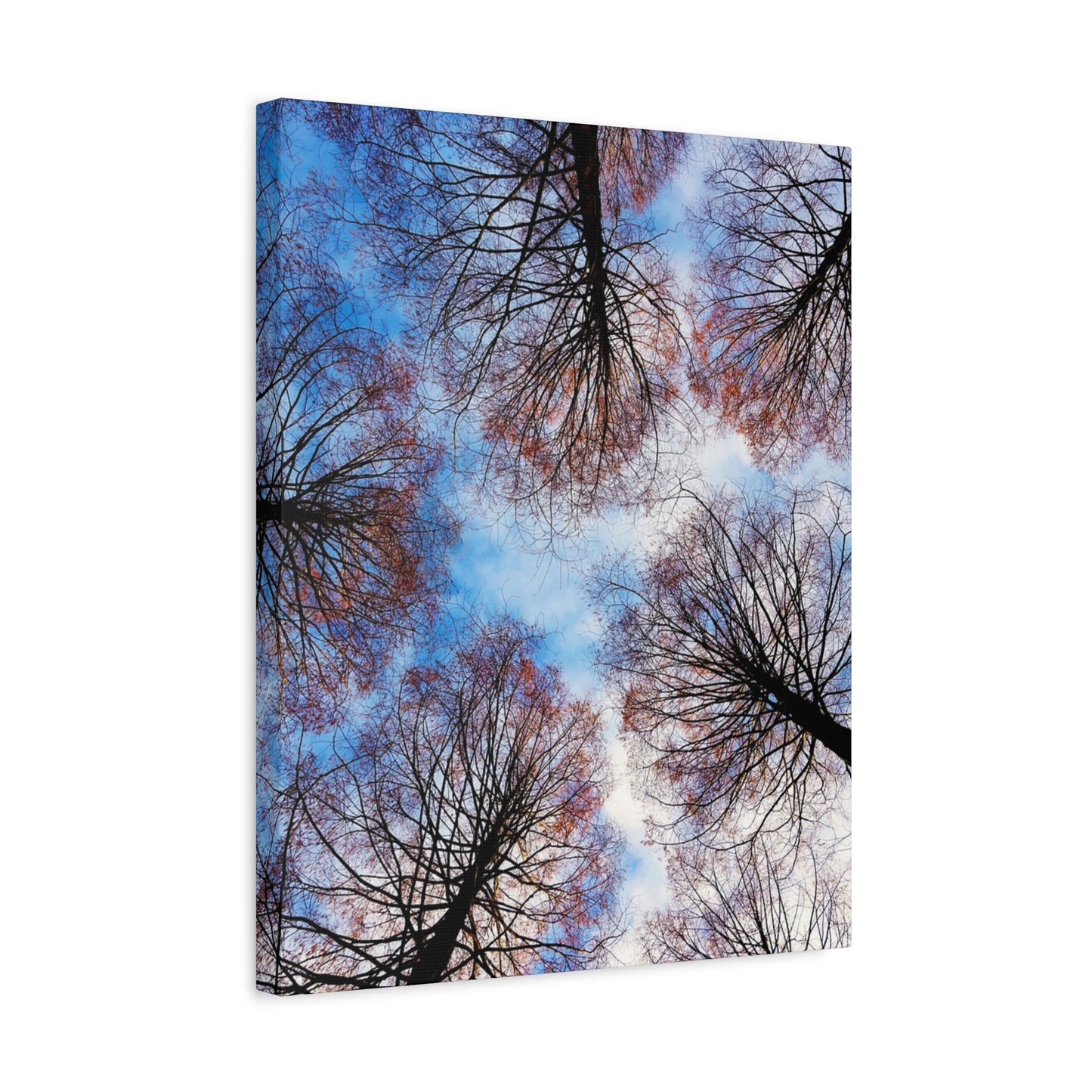 Winter Tree Canopy Matte Canvas Wall Art — Stretched 1.25"