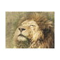 Lion Portrait Matte Canvas Print — Stretched 1.25" Wall Art