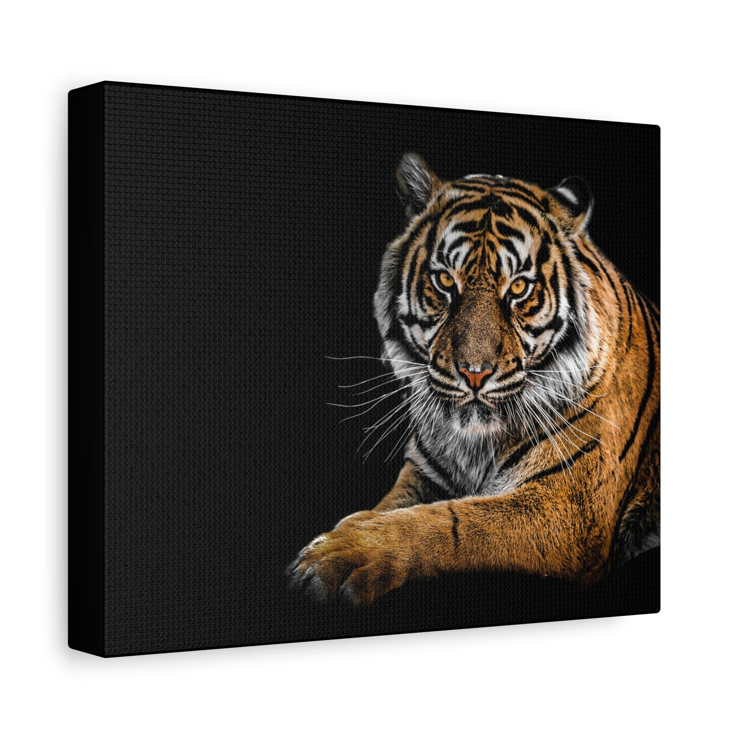 Majestic Tiger Canvas Art, Perfect for Animal Lovers, Home Decor, Gift for Wildlife Enthusiasts, Modern Wall Art, 1.25" Depth