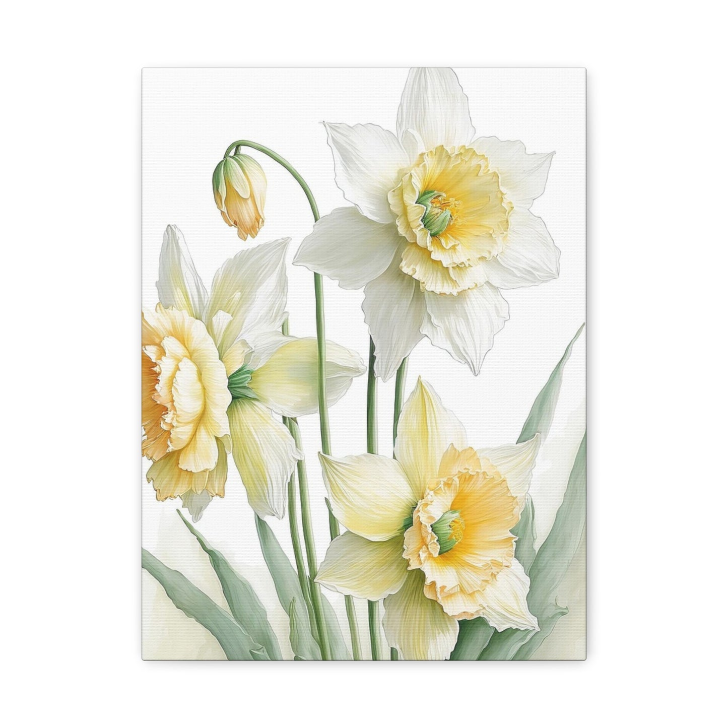 Matte Canvas, Stretched, 1.25" beautiful flowers white and yellow.