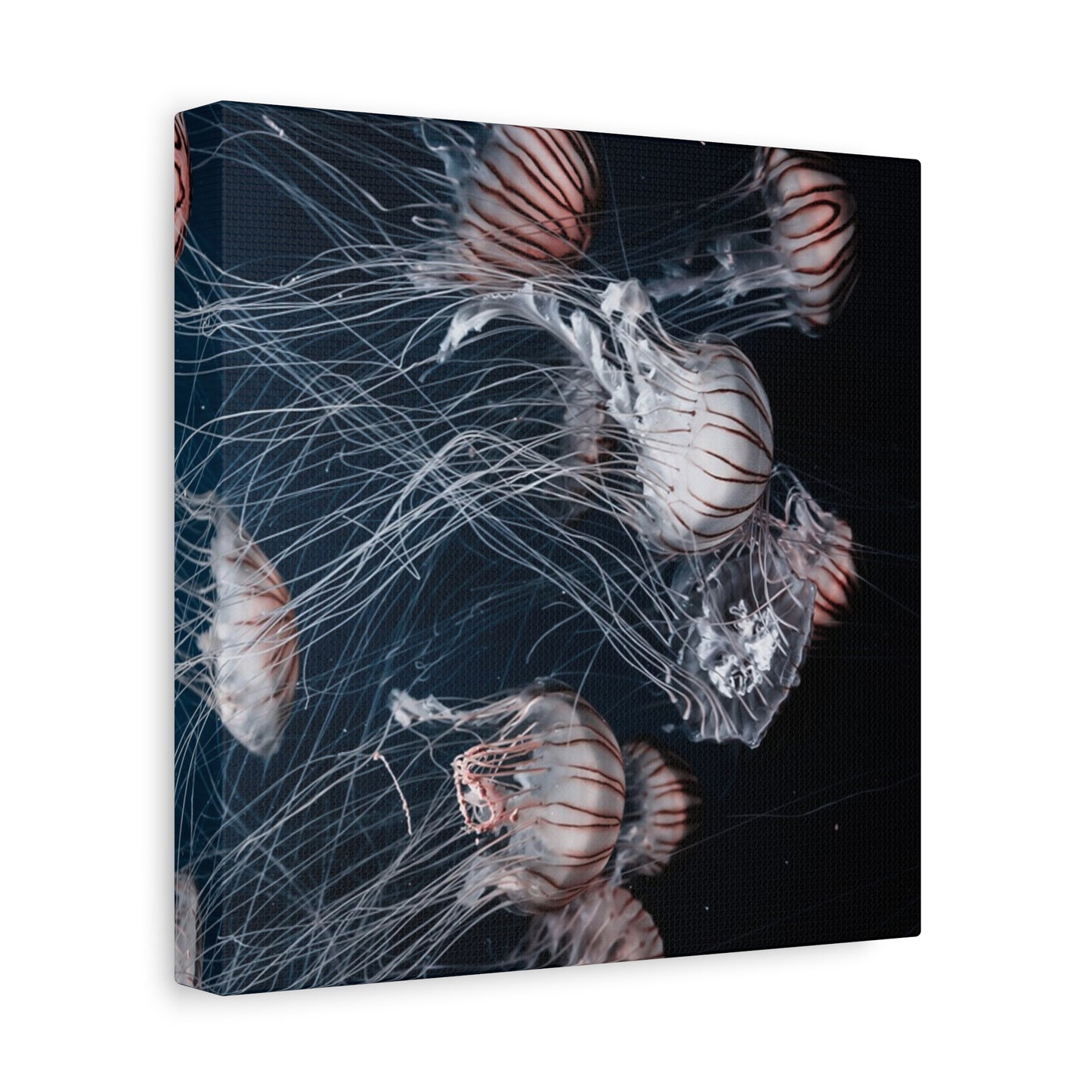 Jellyfish Swarm Matte Stretched Canvas