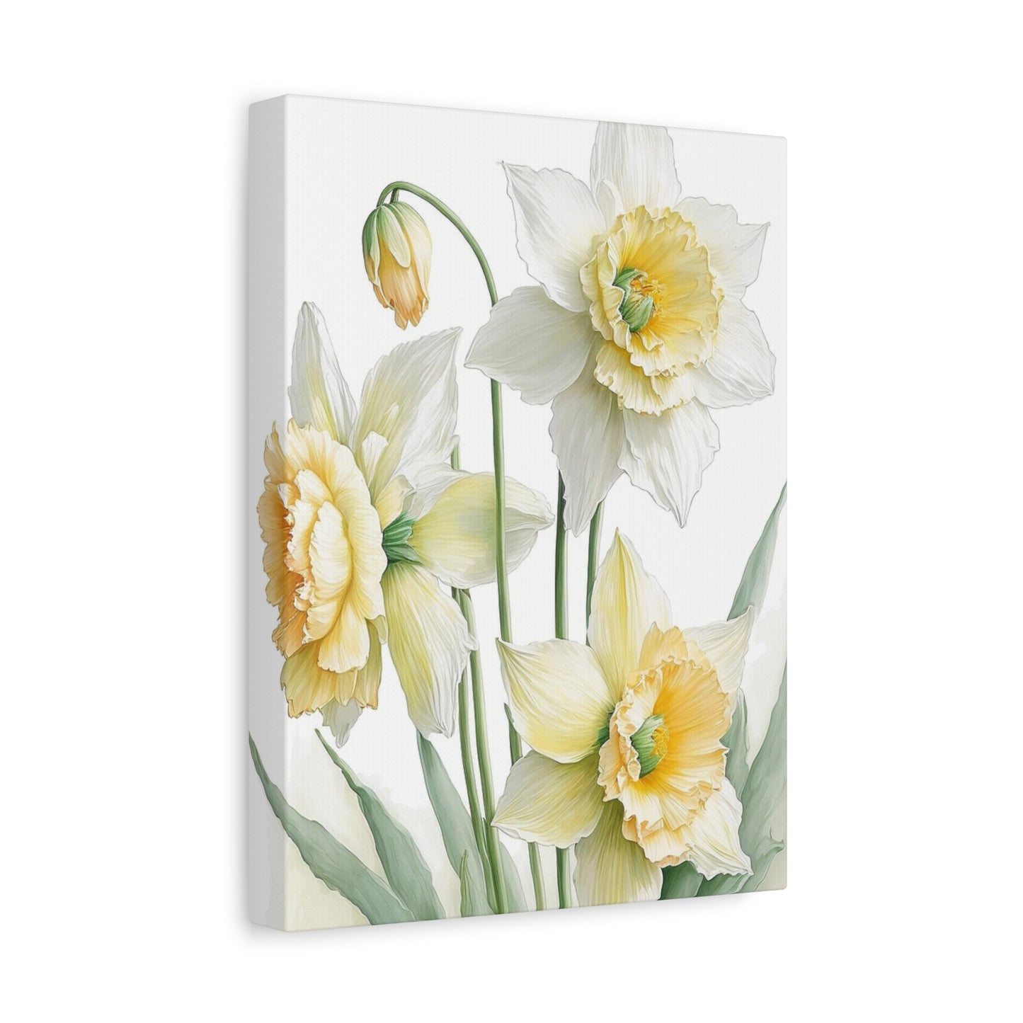 Matte Canvas, Stretched, 1.25" beautiful flowers white and yellow.