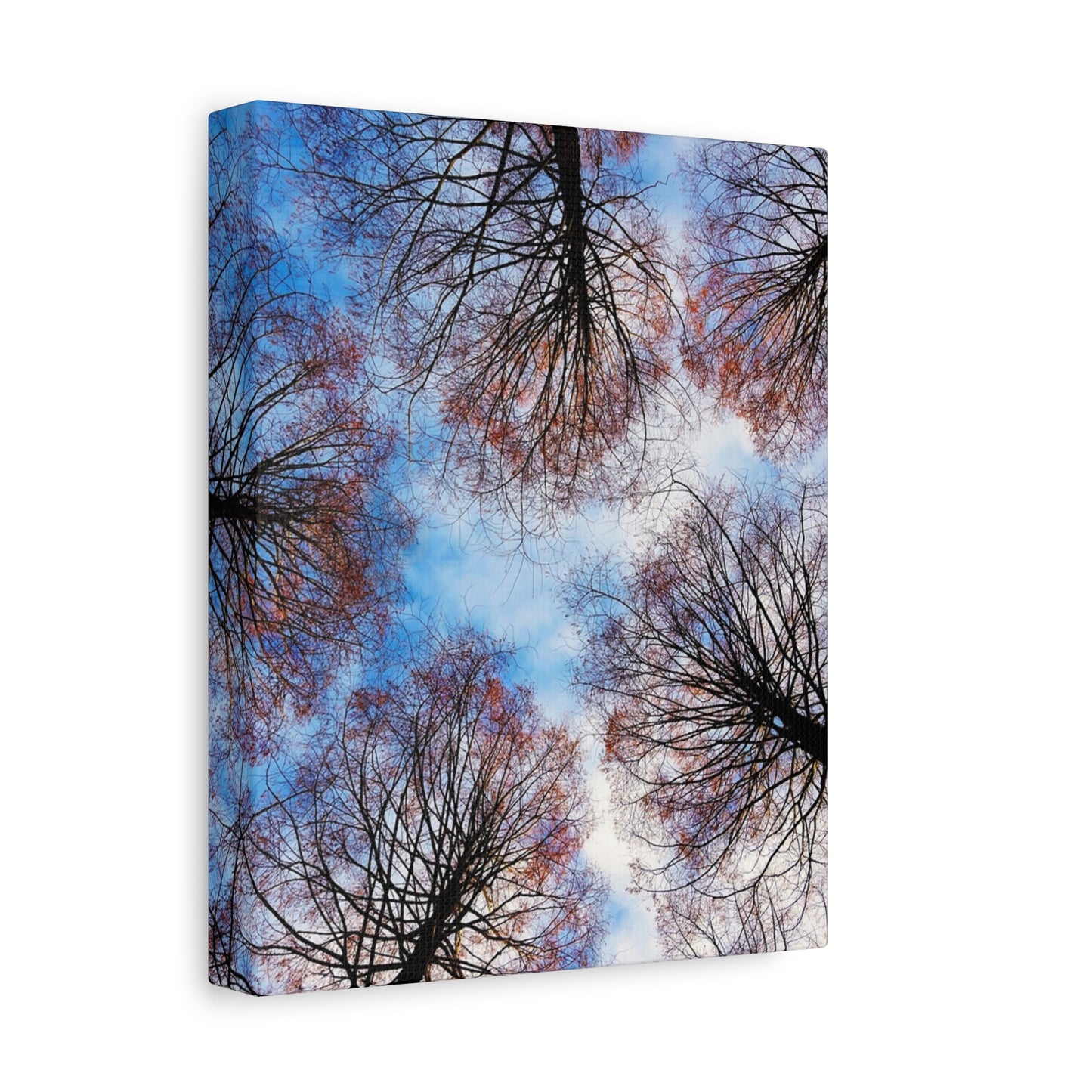 Winter Tree Canopy Matte Canvas Wall Art — Stretched 1.25"