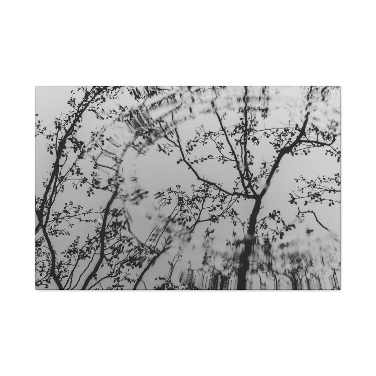 Canvas Wall Art — Monochrome Blurred Ferris Wheel with Tree Silhouettes