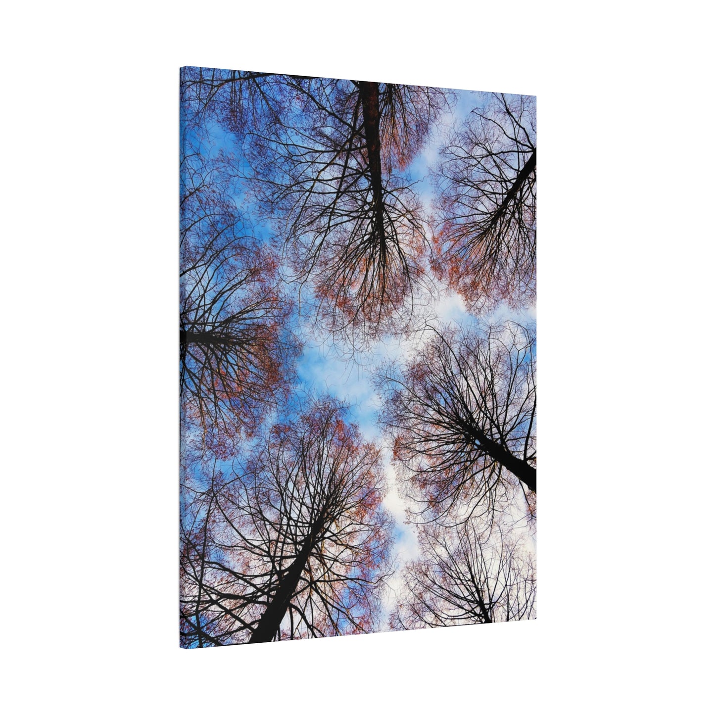 Winter Tree Canopy Matte Canvas Wall Art — Stretched 1.25"