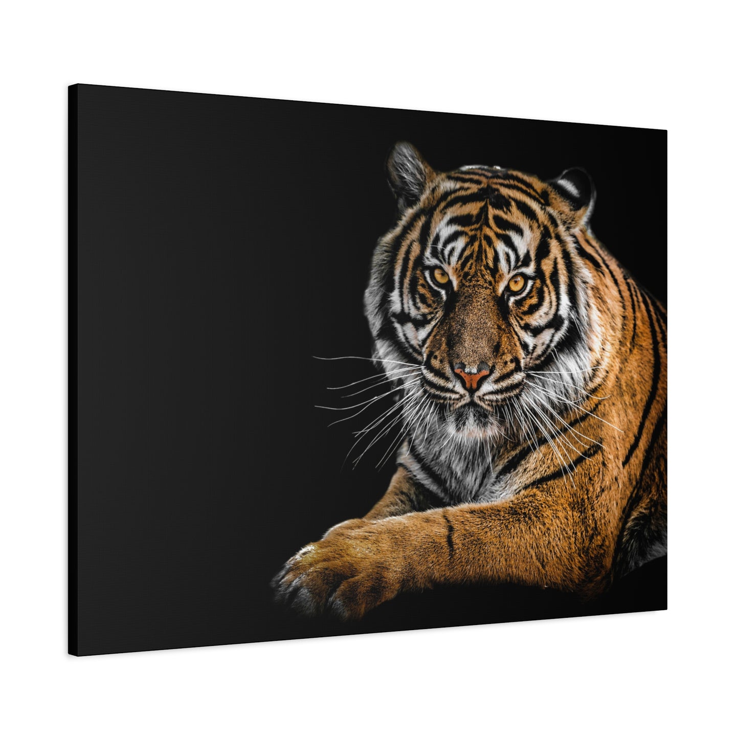 Majestic Tiger Canvas Art, Perfect for Animal Lovers, Home Decor, Gift for Wildlife Enthusiasts, Modern Wall Art, 1.25" Depth