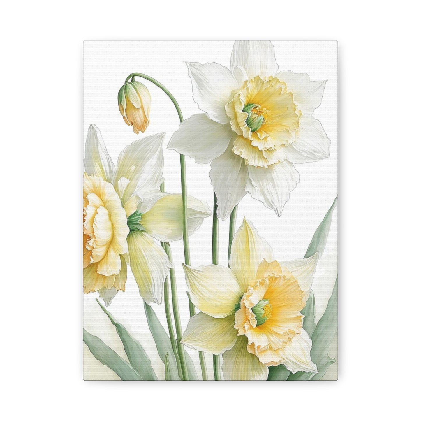Matte Canvas, Stretched, 1.25" beautiful flowers white and yellow.