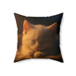 Kawaii Peekaboo Kittens Decorative Pillow — Cute Black & White Cat Throw Cushion