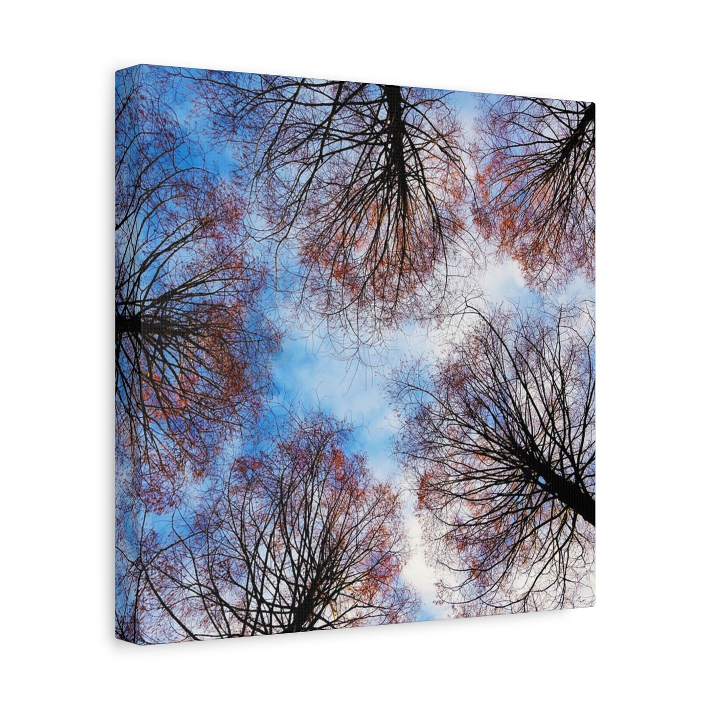 Winter Tree Canopy Matte Canvas Wall Art — Stretched 1.25"