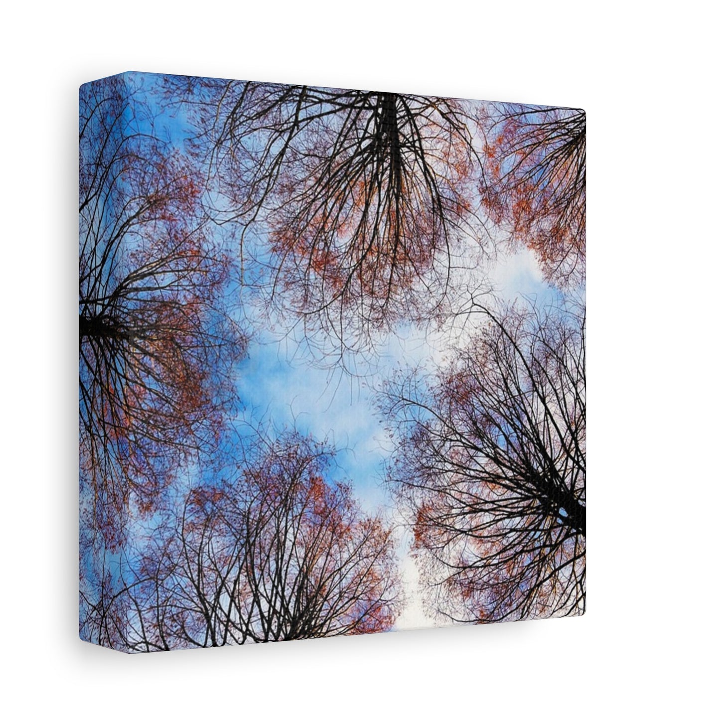 Winter Tree Canopy Matte Canvas Wall Art — Stretched 1.25"