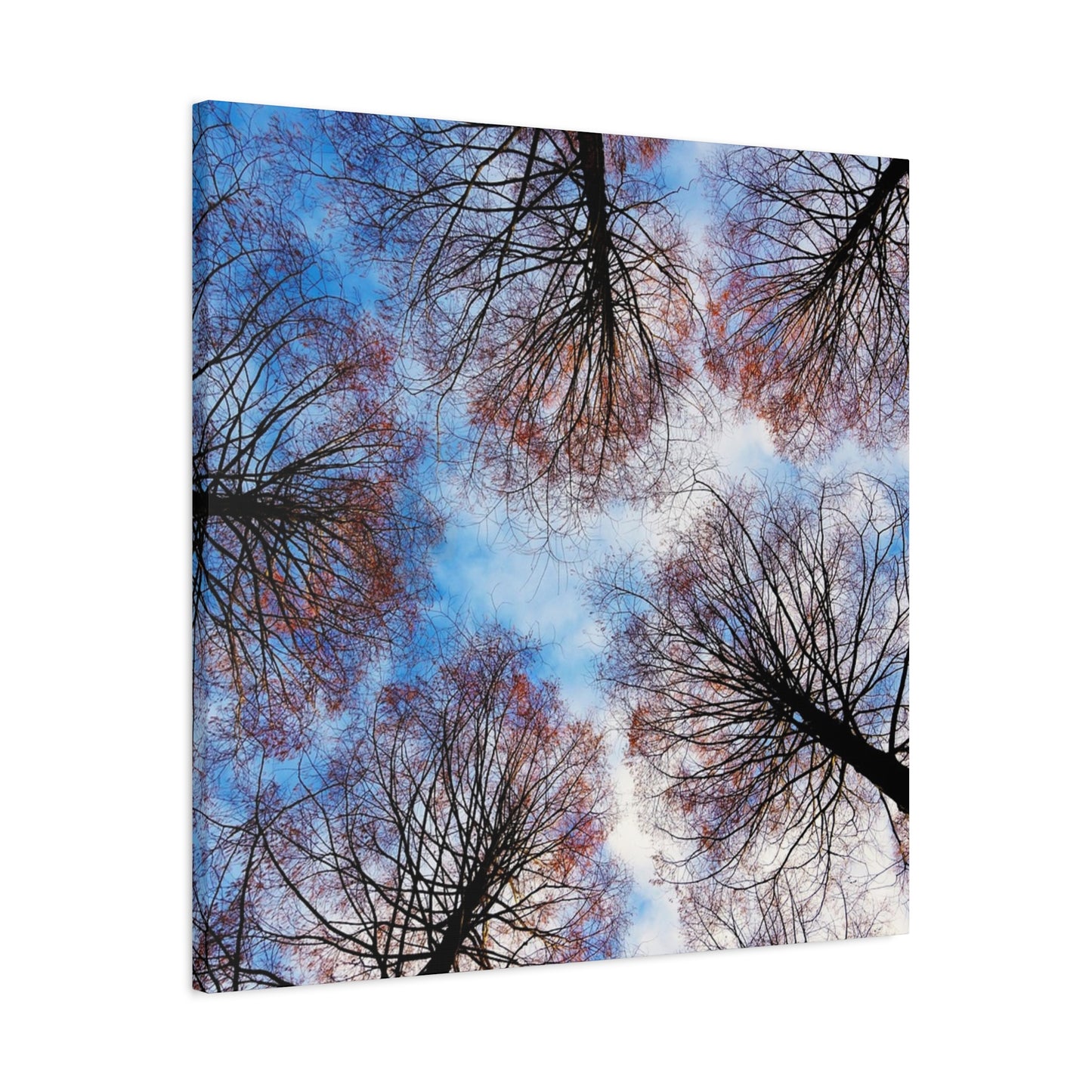Winter Tree Canopy Matte Canvas Wall Art — Stretched 1.25"