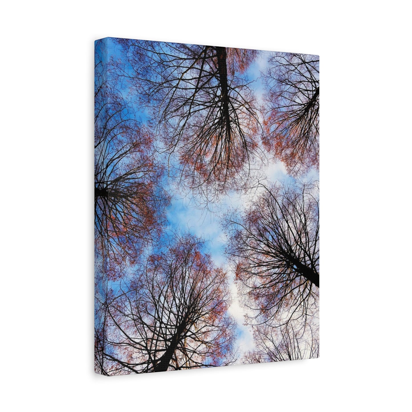 Winter Tree Canopy Matte Canvas Wall Art — Stretched 1.25"