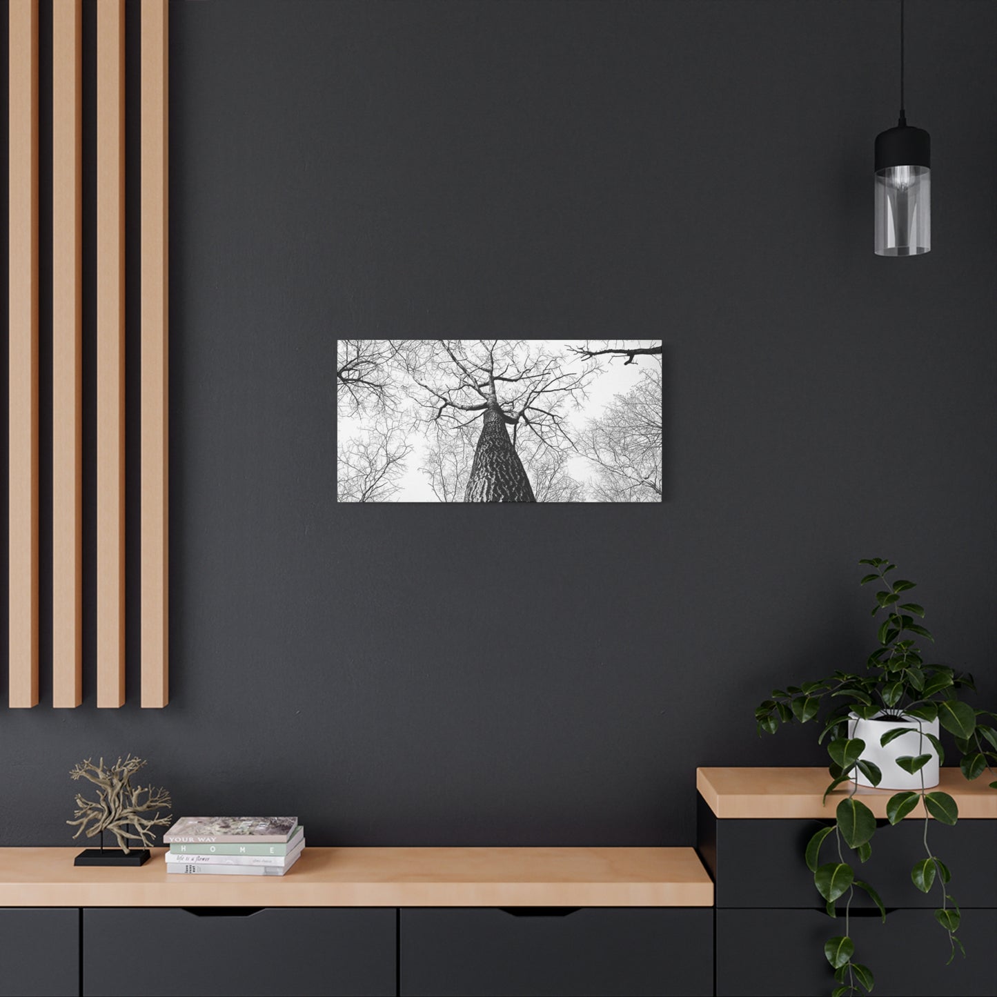 Black & White Tree Canopy Matte Canvas Wall Art — Upward Forest Photography