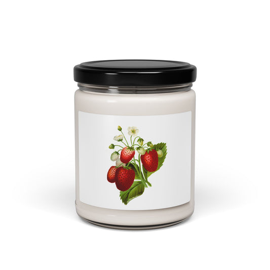 Scented Soy Candle, 9oz