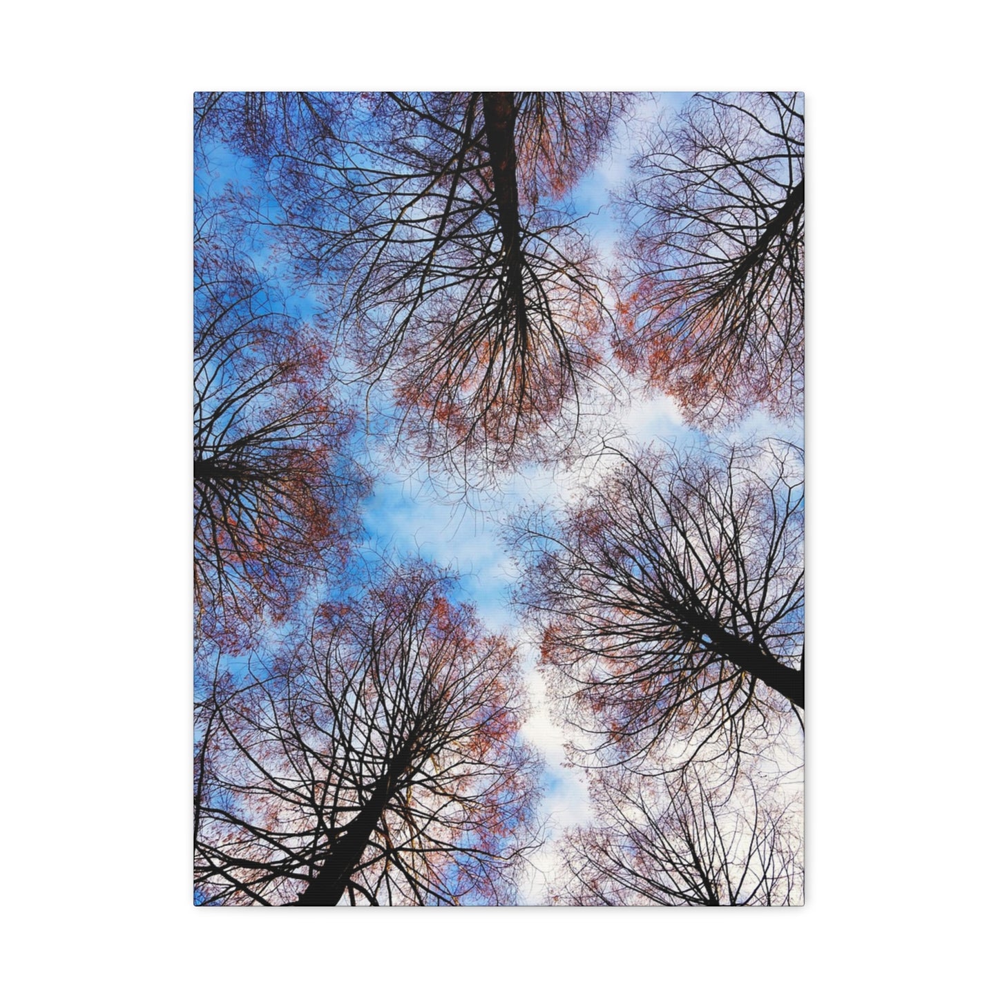 Winter Tree Canopy Matte Canvas Wall Art — Stretched 1.25"