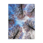 Winter Tree Canopy Matte Canvas Wall Art — Stretched 1.25"