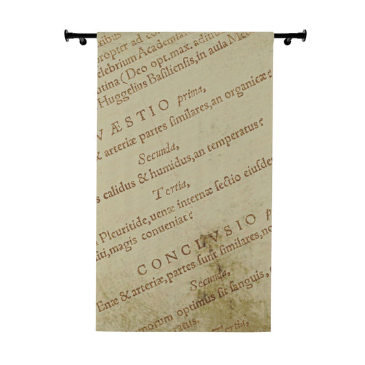 Vintage Text Print Window Curtains, Elegant Home Decor, Curtain, Drapes, Living Room Accessories, Academic Style, Unique Gift
