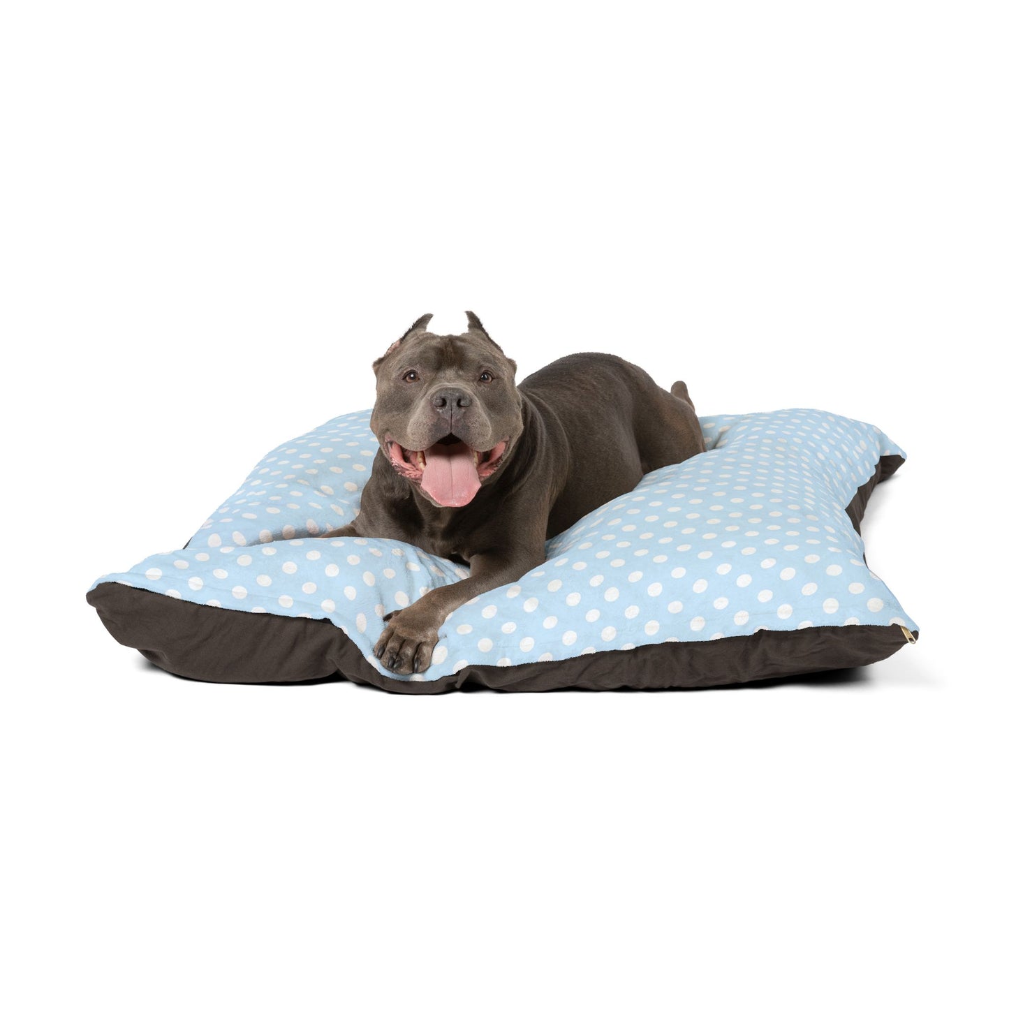 Cozy Polka Dot Pet Bed for Dogs & Cats, Comfortable Pet Cushion, Cute Dog Bed, Soft Cat Bed, Pet Accessories, Pet Gift
