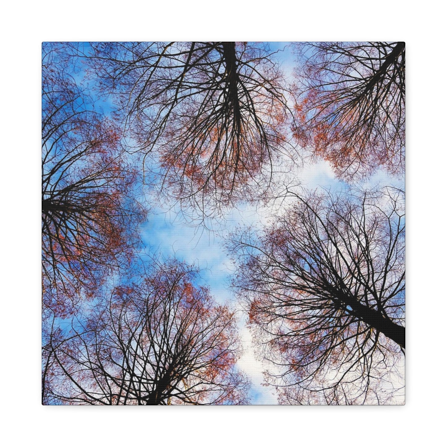 Winter Tree Canopy Matte Canvas Wall Art — Stretched 1.25"