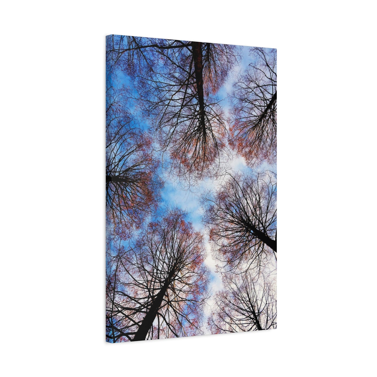 Winter Tree Canopy Matte Canvas Wall Art — Stretched 1.25"