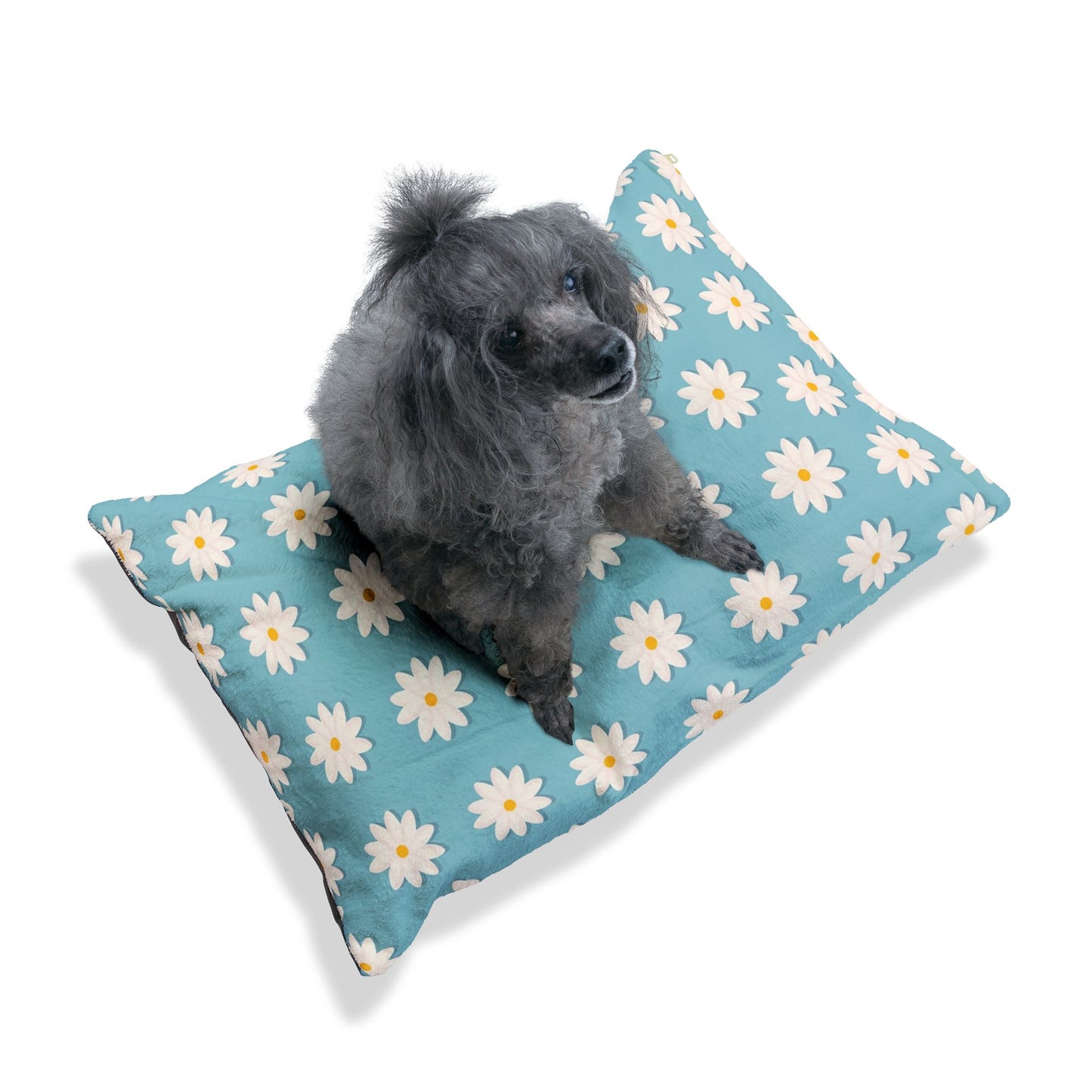 Daisy Floral Pet Bed for Cozy Comfort, Small Dog Bed, Cat Plush Pillow, Summer Pet Accessory, Dog Lover Gift