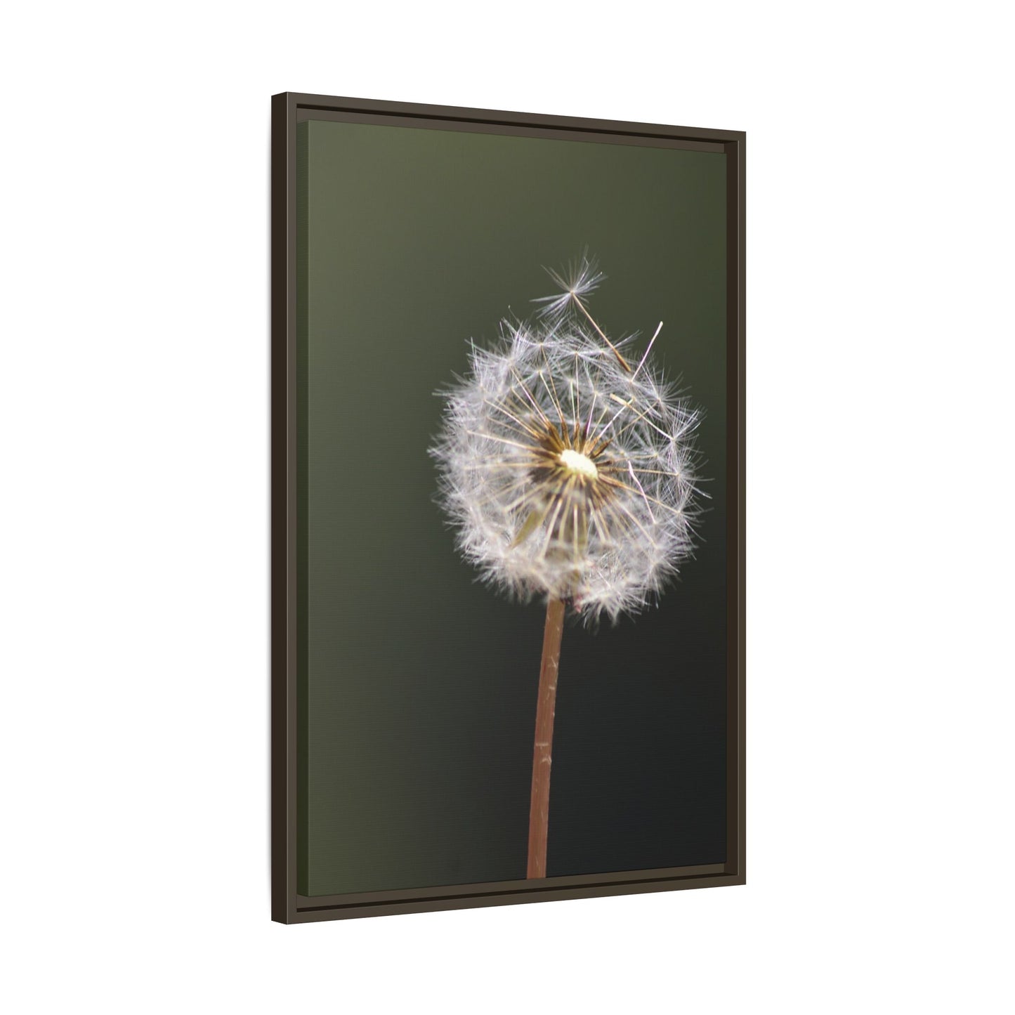 Framed Dandelion Canvas Print — Matte Botanical Wall Art