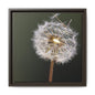 Framed Dandelion Canvas Print — Matte Botanical Wall Art