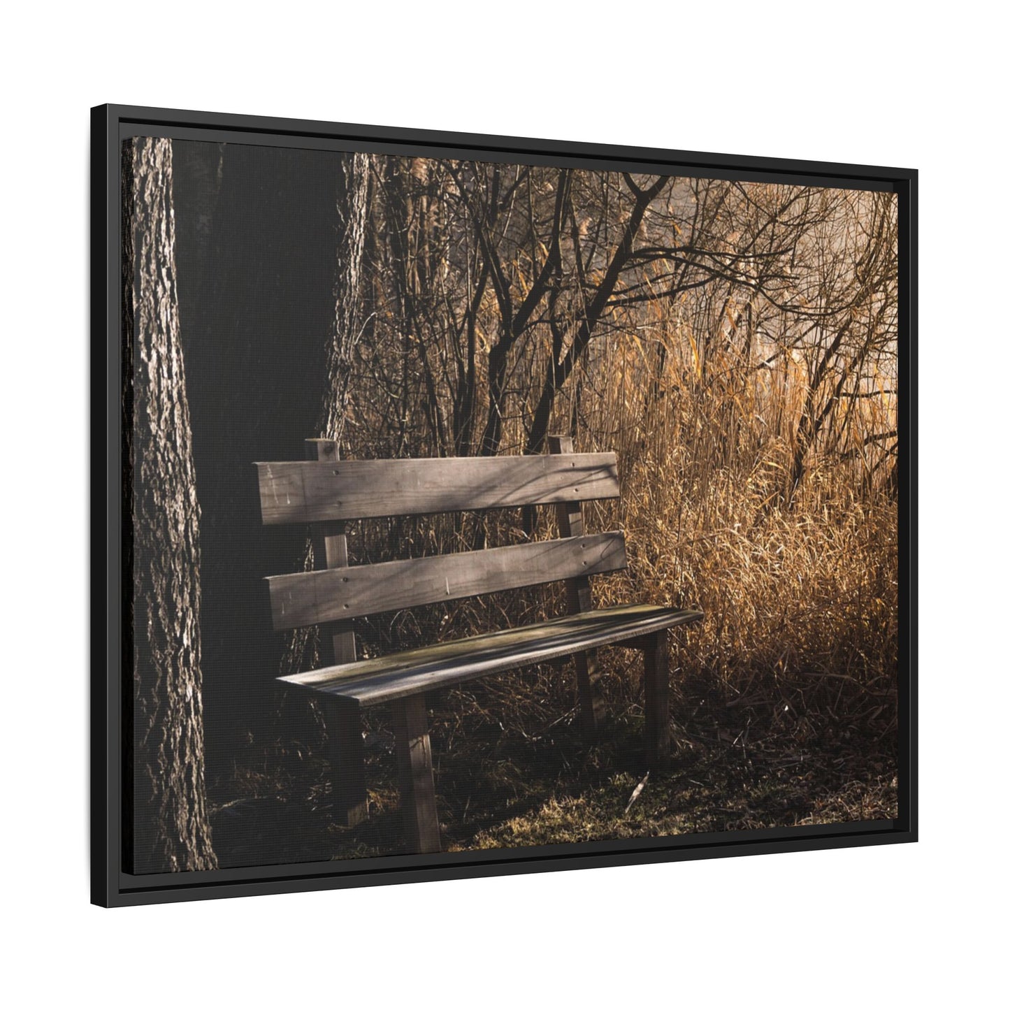 Framed Matte Canvas Print — Autumn Park Bench Photography