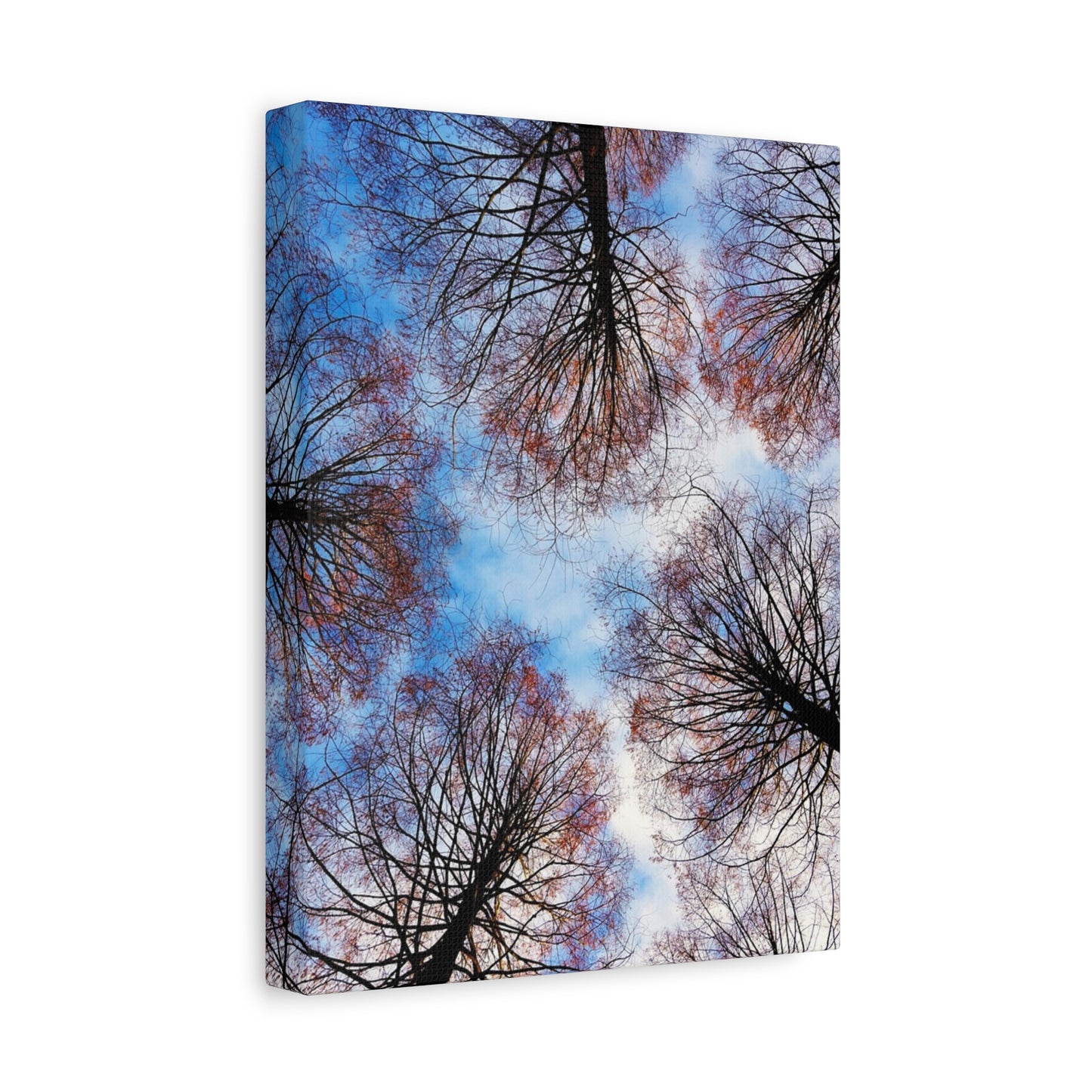 Winter Tree Canopy Matte Canvas Wall Art — Stretched 1.25"