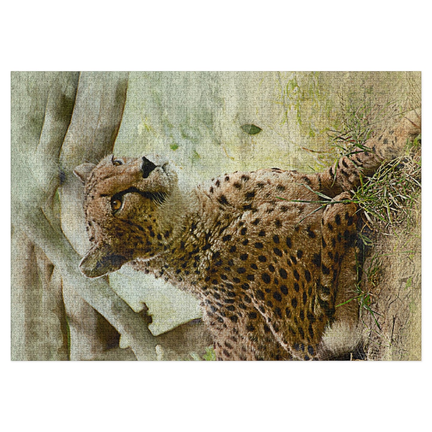 Wildlife Jigsaw Puzzle with Tin, Cheetah Puzzle Game, Family Fun Activity, Perfect Gift for Nature Lovers, Home Decor Puzzle