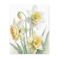 Matte Canvas, Stretched, 1.25" beautiful flowers white and yellow.