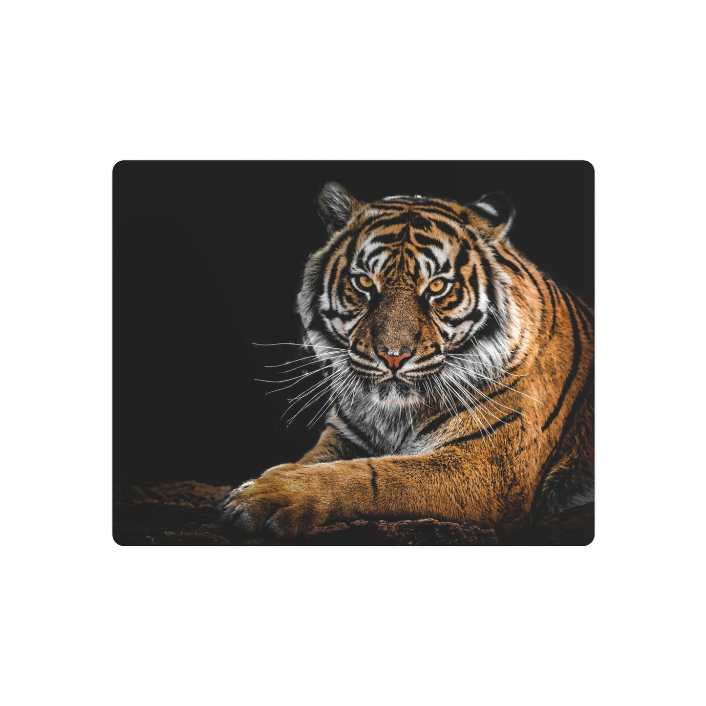 Metal Wall Art, Tiger Decor, Animal Lover Gift, Home Wall Decor, Unique Artwork, Nature Lover Gift
