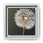 Framed Dandelion Canvas Print — Matte Botanical Wall Art