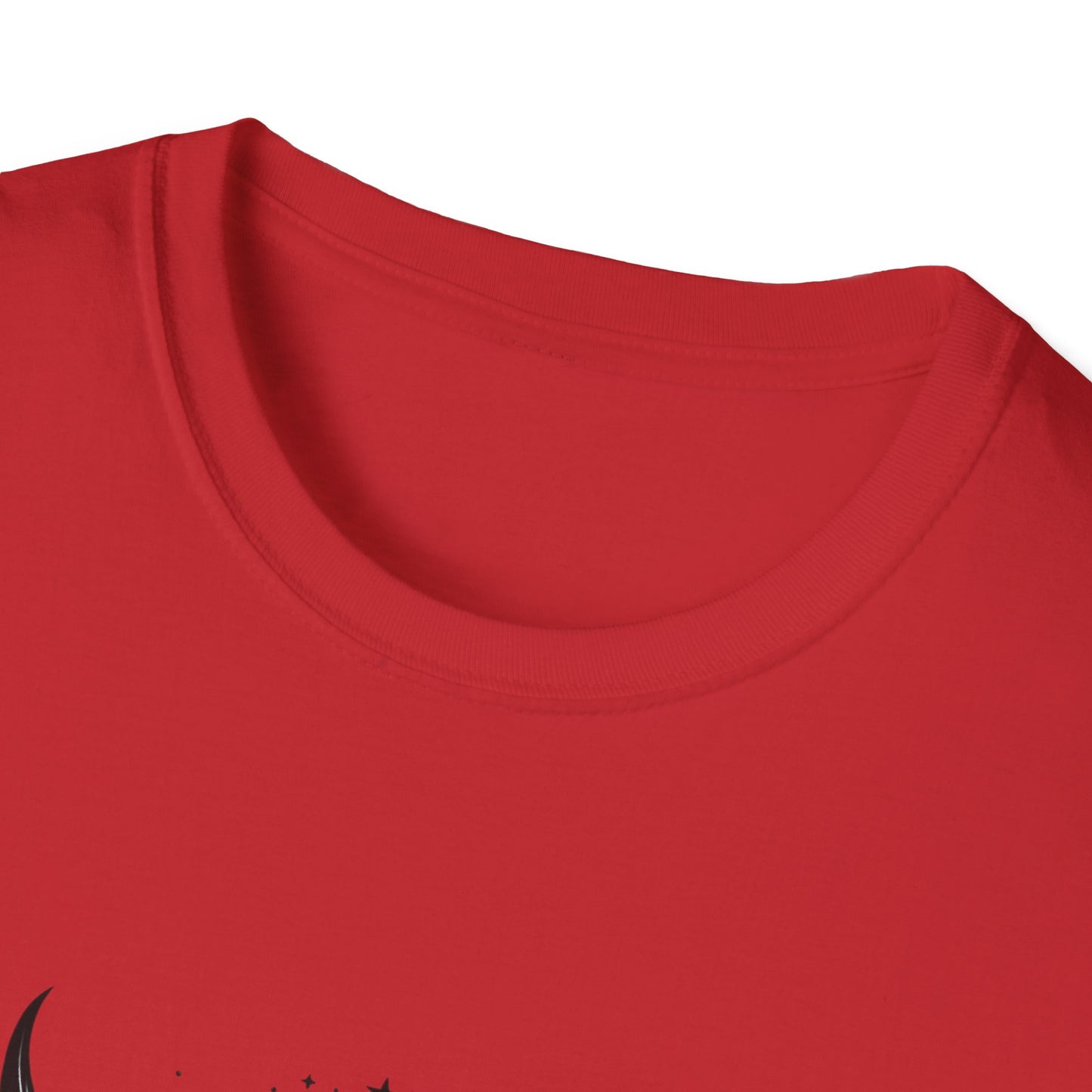 Skull Wings T‑Shirt – Crescent Moon & Red Roses Gothic Graphic Tee