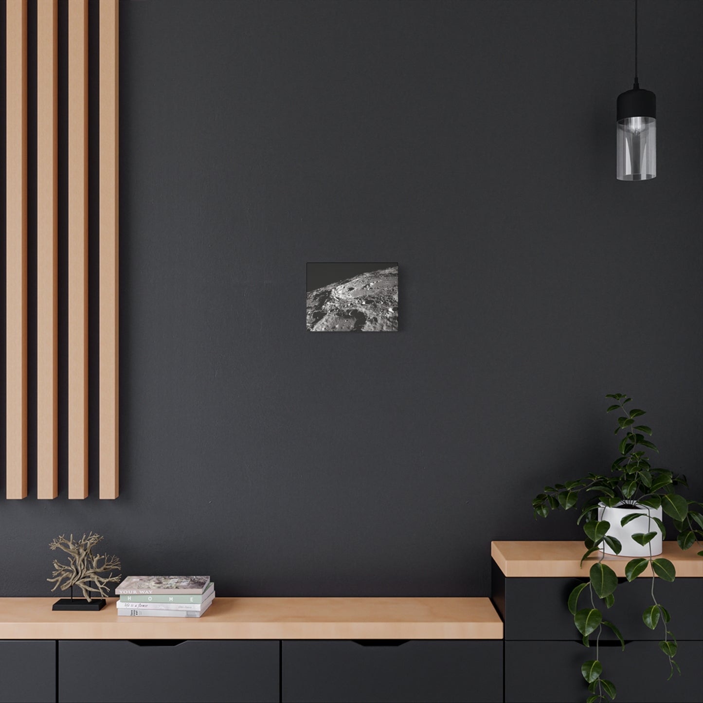 Lunar Surface Matte Canvas Print — Black & White Moon Crater Wall Art