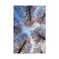 Winter Tree Canopy Matte Canvas Wall Art — Stretched 1.25"