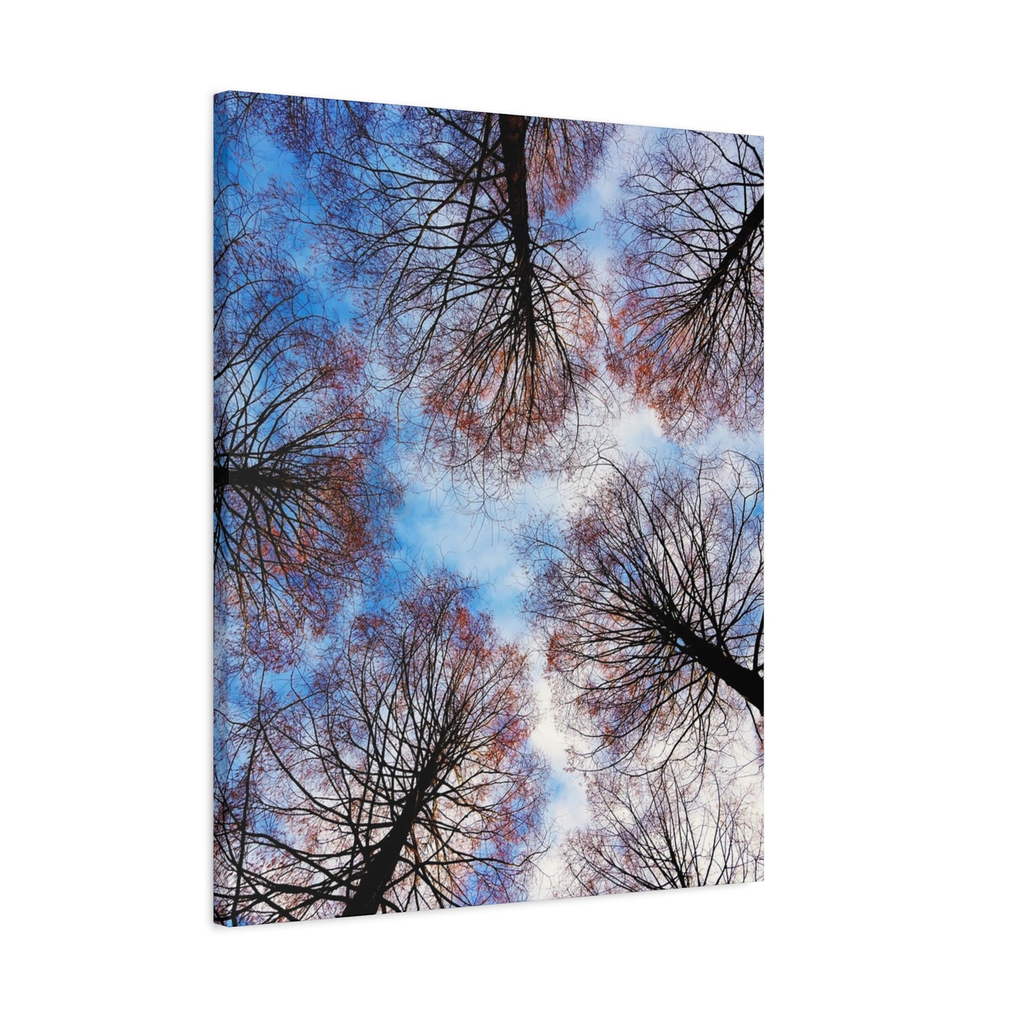 Winter Tree Canopy Matte Canvas Wall Art — Stretched 1.25"